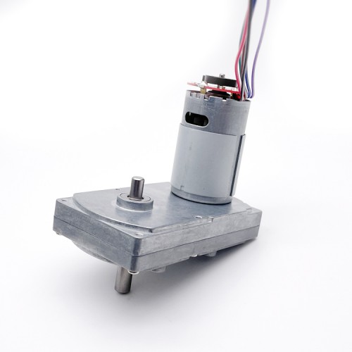 2 Stück 12V/24V Bürsten Stirnradgetriebemotor GM100F-555PM mit Verhältnis 60~365 Stirnradgetriebe