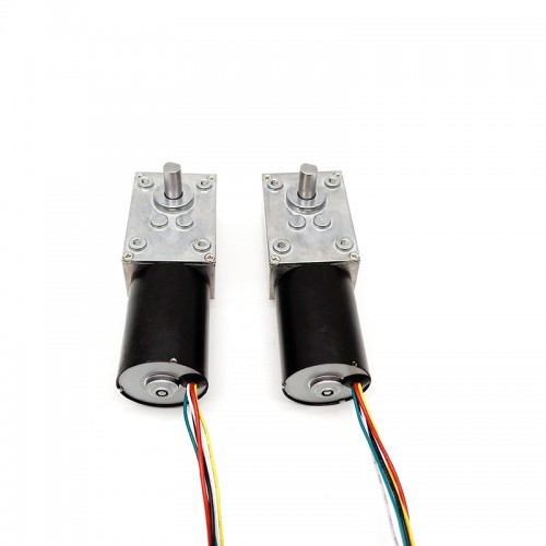 2 Stück 12V/24V Permanentmagnet DC-Schneckengetriebemotor 7W/10,9W Welle 6mm mit Verhältnis 81~621 Schneckengetriebe