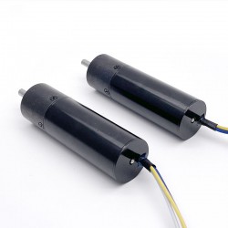 2 Stück Φ20mm 12V/24V Permanenterregte Gleichstrom Getriebemotor GMP20-TEC2047 3,0kg.cm mit Planetengetriebe