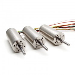 2 Stück Φ30mm 24V/48V Doppelwelle Bürstenloser Kernloser Motor TBC3067 0,973kg.cm/0,9kg.cm 160W