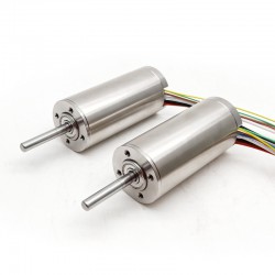 2 Stück Φ30mm 24V/48V Doppelwelle Bürstenloser Kernloser Motor TBC3067 0,973kg.cm/0,9kg.cm 160W