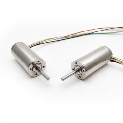 2 Stück Φ30mm 24V/48V Doppelwelle Bürstenloser Kernloser Motor TBC3067 0,973kg.cm/0,9kg.cm 160W