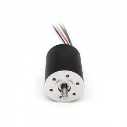 2 Stück Φ32mm 12V/24V Bürstenloser Kernloser Motor TBC3242 4,6kg.cm/1,9kg.cm 45,5W/ 25,1W Wellendurchmesser 5mm