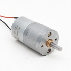 2 Stück Φ25mm 6V/12V Bürsten PMDC Getriebemotor GM25-320SH mit Verhältnis 4~499 Stirnradgetriebe
