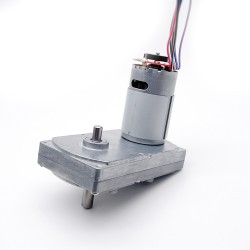 2 Stück 12V/24V Bürsten Stirnradgetriebemotor GM100F-555PM mit Verhältnis 60~365 Stirnradgetriebe