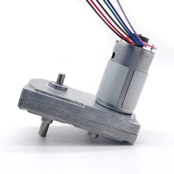 2 Stück 12V/24V Bürsten Stirnradgetriebemotor GM100F-555PM mit Verhältnis 60~365 Stirnradgetriebe