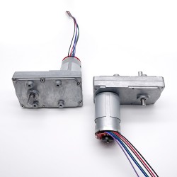 2 Stück 12V/24V Bürsten Stirnradgetriebemotor GM100F-555PM mit Verhältnis 60~365 Stirnradgetriebe