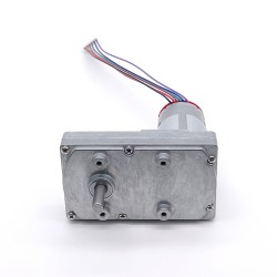 2 Stück 12V/24V Bürsten Stirnradgetriebemotor GM100F-555PM mit Verhältnis 60~365 Stirnradgetriebe