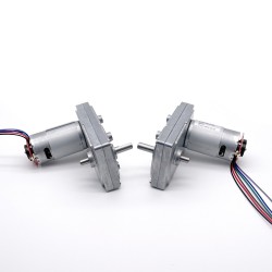 15 Stück 12V/24V Bürsten Stirnradgetriebemotor GM100F-555PM mit Verhältnis 60~365 Stirnradgetriebe