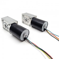 2 Stück 12V/24V Permanentmagnet DC-Schneckengetriebemotor 7W/10,9W Welle 6mm mit Verhältnis 81~621 Schneckengetriebe