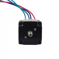 Nema 11 Doppelwellen Planetengetriebe Schrittmotor (Hohle Hinterwelle) mit 27:1 Planetengetriebe