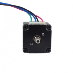 Nema 11 Getriebe Schrittmotor mit Hintere Welle & Untersetzung 100:1 Getriebe
