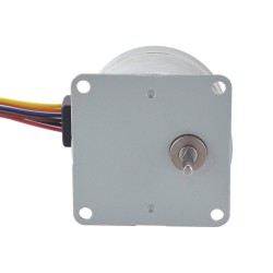 Φ42x38mm Permanentmagnet Getriebe Schrittmotor 42PM48M01-SG50 50:1 Stirnradgetriebe