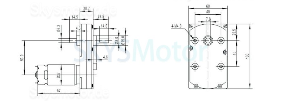 2 Stück 12V/24V Bürsten Stirnradgetriebemotor GM100F-555PM mit Verhältnis 60~365 Stirnradgetriebe