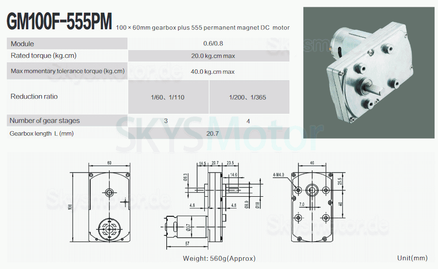 2 Stück 12V/24V Bürsten Stirnradgetriebemotor GM100F-555PM mit Verhältnis 60~365 Stirnradgetriebe