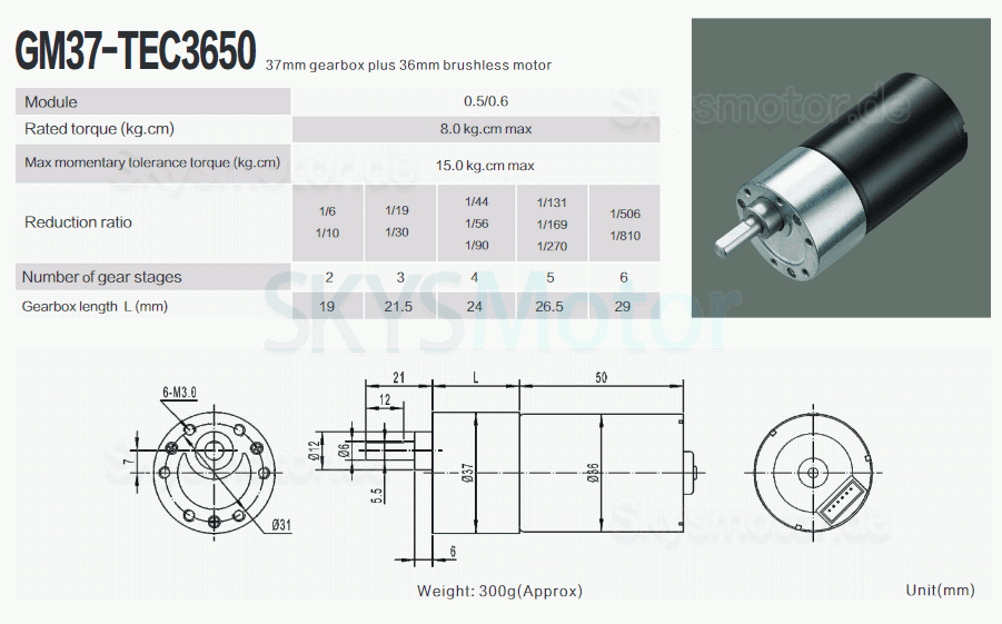 2 Stück 12V/24V BLDC Stirnradgetriebemotor GM37-TEC3650 7W/11W mit Verhältnis 6~810 Stirnradgetriebe