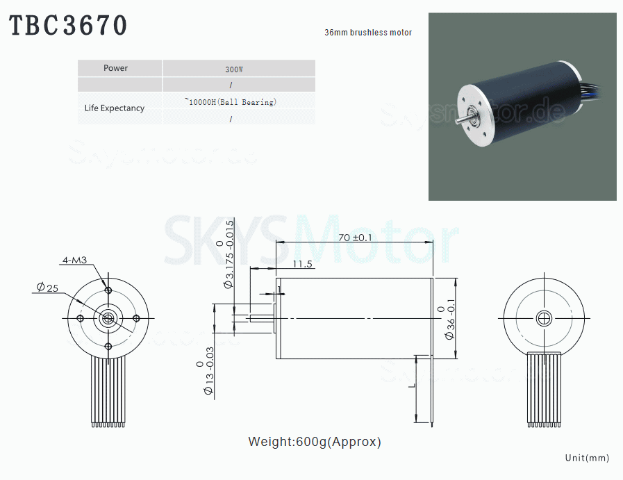 2 Stück Φ36mm 24/36V Bürstenloser Eisenlose Motoren TBC3670 1,2-2,4kg.cm 67-270W Wellendurchmesser 3,175mm