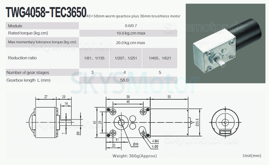 2 Stück 12V/24V Permanentmagnet DC-Schneckengetriebemotor 7W/10,9W Welle 6mm mit Verhältnis 81~621 Schneckengetriebe