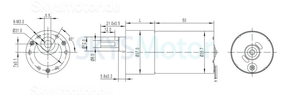 2 Stück 12V/24V BLDC Stirnradgetriebemotor GM37-TEC3650 7W/11W mit Verhältnis 6~810 Stirnradgetriebe